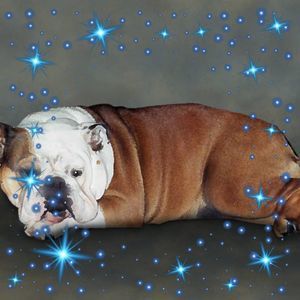 Meet your Posher, Kathy